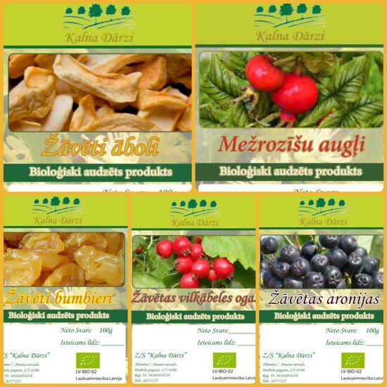 ŽĀVĒTI AUGĻI, OGAS EKO