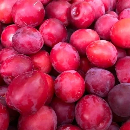 bio plūmju sula